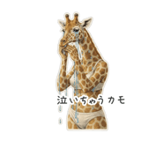 842286494