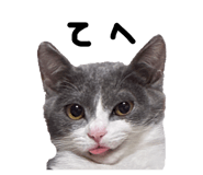 842286663
