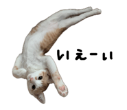 842286665
