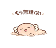 842286704