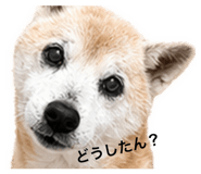 842286893