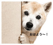 842286894