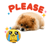 842287624