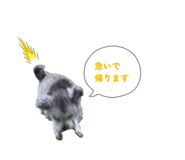 842287932