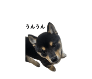 842288117