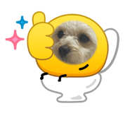 842288415