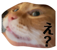 842288417