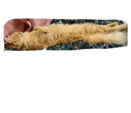 842288424
