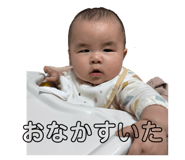 842288517