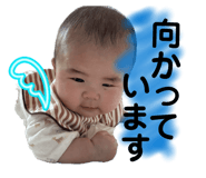 842288530