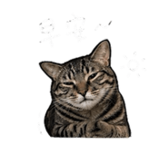 842289290