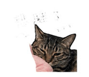 842289295