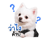 842289299