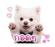 842289302