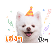 842289306