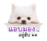 842289315