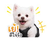 842289318