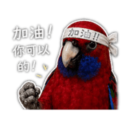 842289359