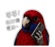 842289368