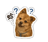 842289672