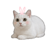 842289682