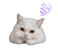 842289683