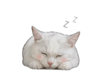 842289684