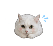 842289686