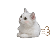 842289687