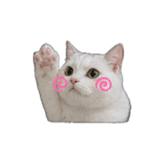 842289688