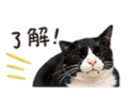 842289708