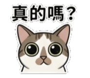 842289779