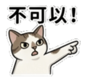 842289797