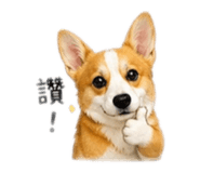842289890