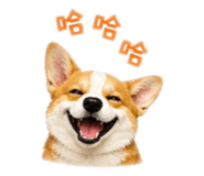 842289893