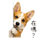 842289895