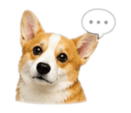 842289906