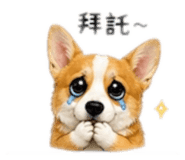 842289908
