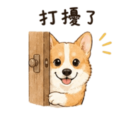 842290027