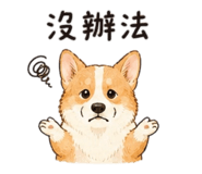 842290047