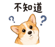 842290051