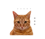 842290284