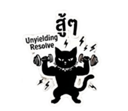 842290494