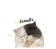842290744