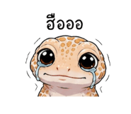 842291343