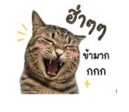 842291497