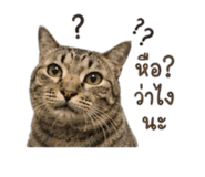 842291498