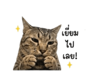 842291504