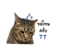 842291508