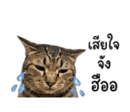842291519